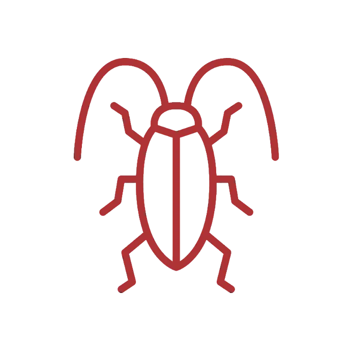 UPM Cockroach control solutions UPM roach management services have shown a close-up image of a cockroach, featuring its detailed wings and antennae. Represents the need for expert pest control services by UPM. #RoachControl #PestManagement #InsectControl #UrbanPestSolutions #UPM