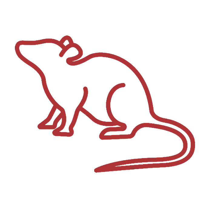 UPM Rodent Services A professional rodent management service effectively and sustainably addressing urban pest control needs #UrbanPestManagement #RodentControl #SustainableSolutions #EffectivePestControl #EcoFriendlyPestControl