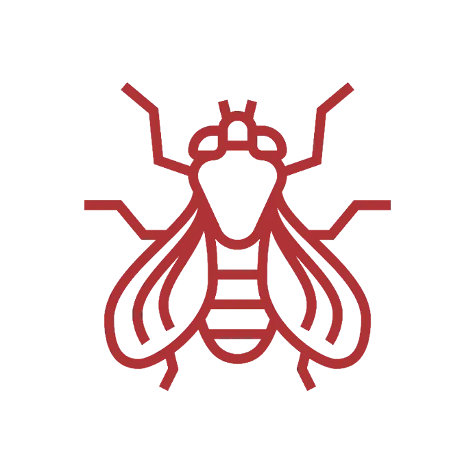UPM Flying Insects Service UPM shows the illustration of a close-up image of a fly, highlighting its intricate wings and body structure. A representation of common pests in need of professional control methods. #UrbanPestManagement #FliesControl #SustainableSolutions #EffectivePestControl #EcoFriendlyPestControl
